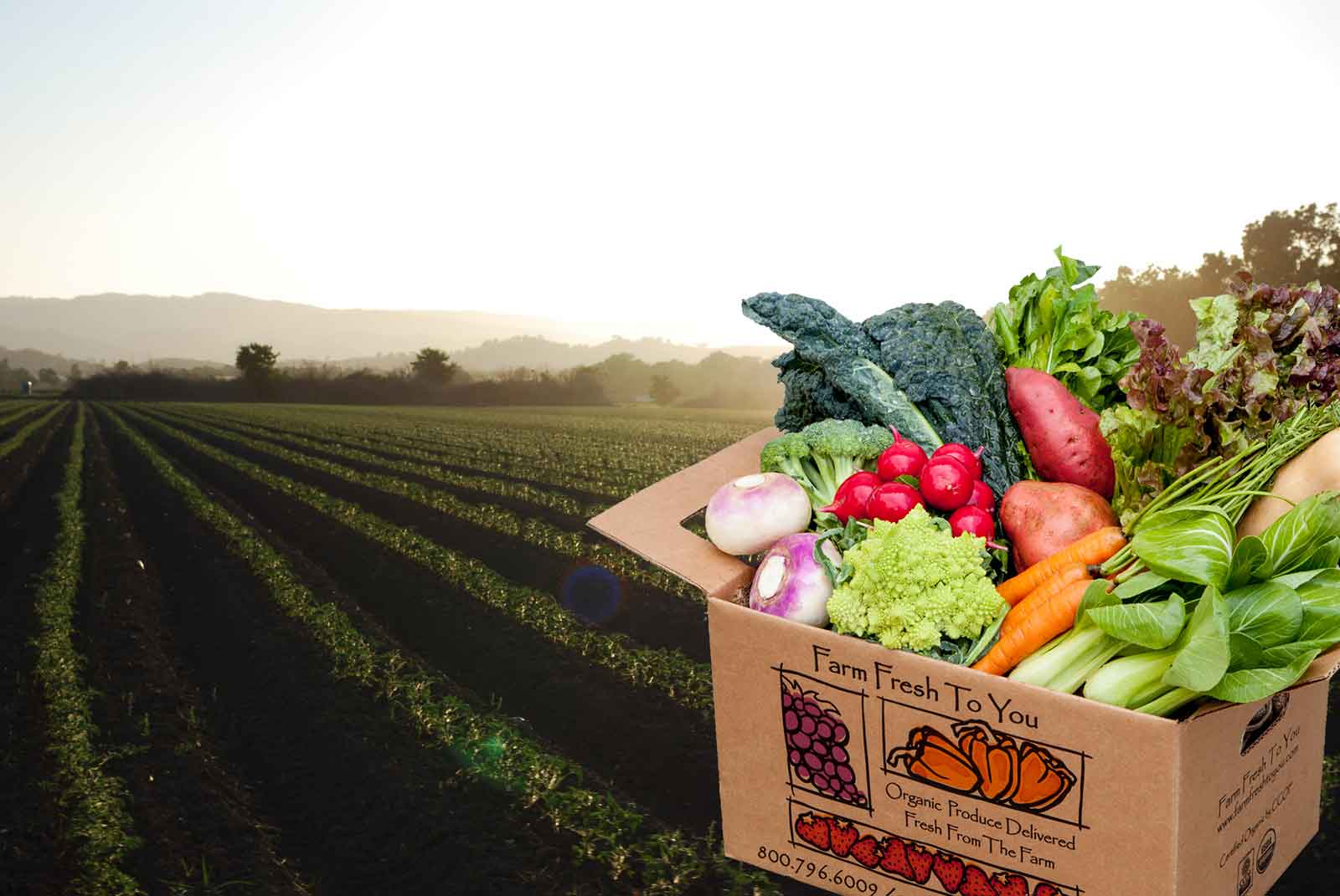 Farm Fresh to You (Northern California)