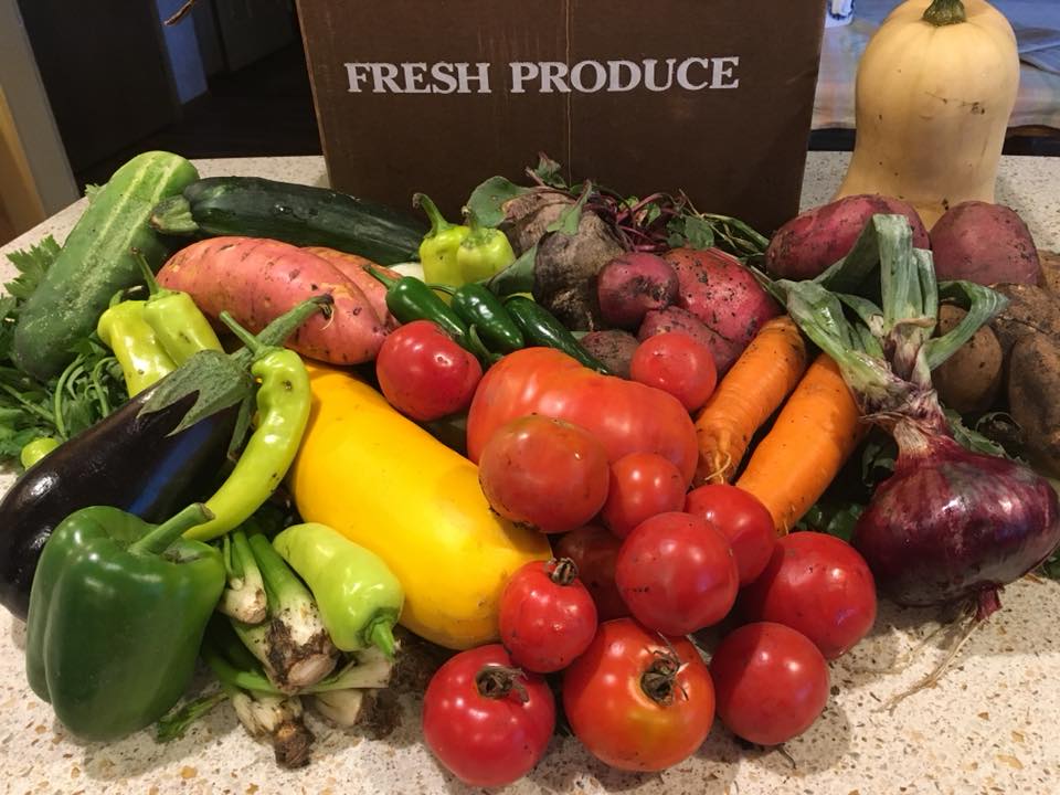 Farm in the Dell of the Red River Valley