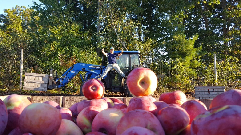 Farmer Dave's at Hill Orchard
