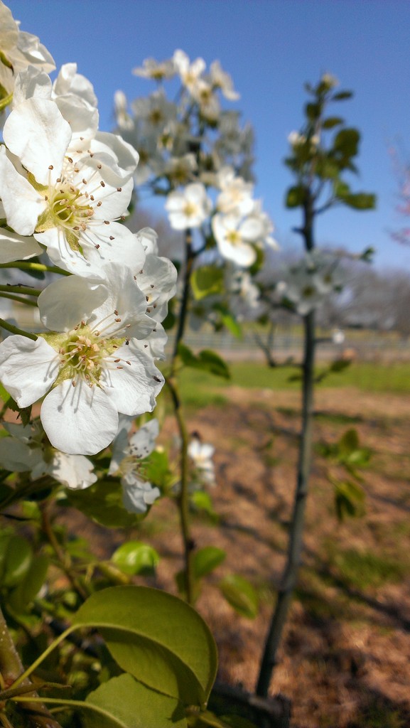 Farmer Jones Eco-Friendly Produce