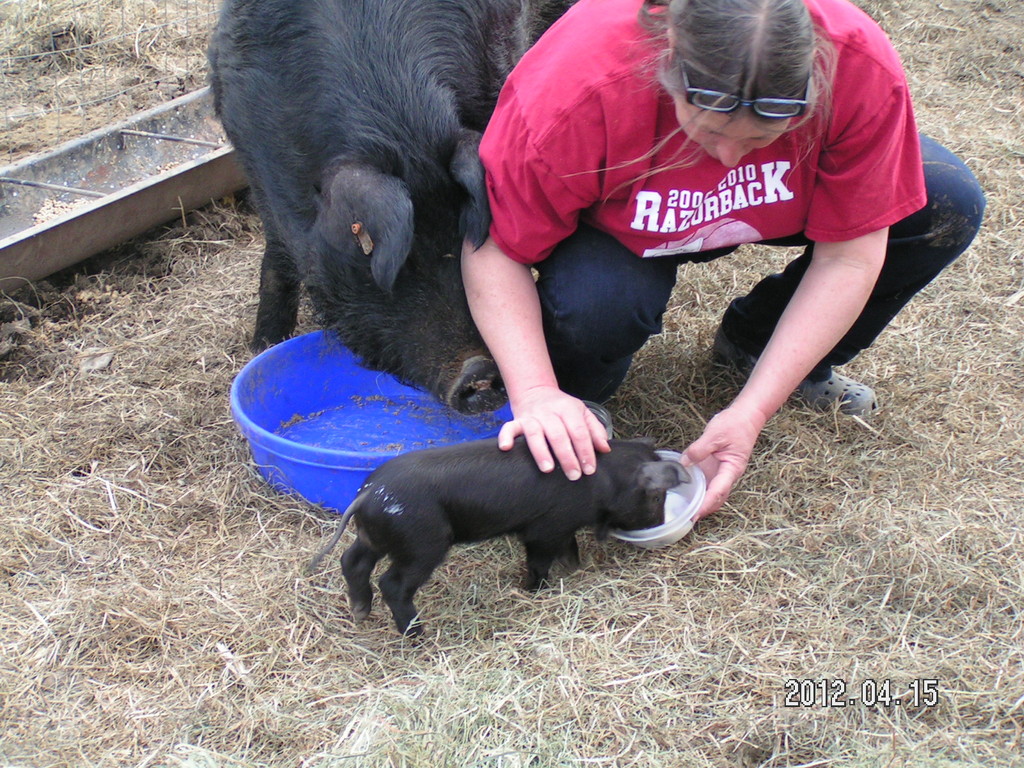 Farmer Sue