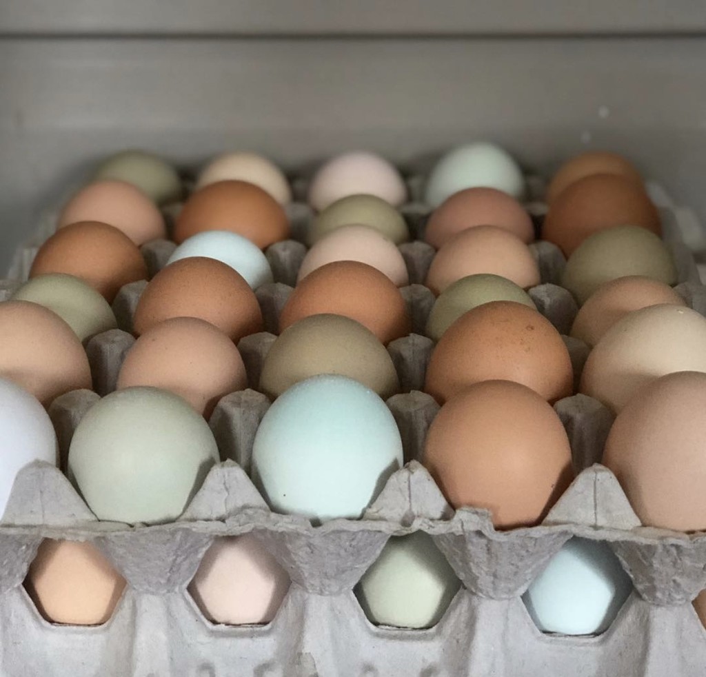 Feisty Rooster Fresh Eggs