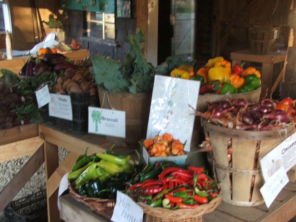 Fernbrook Farms CSA