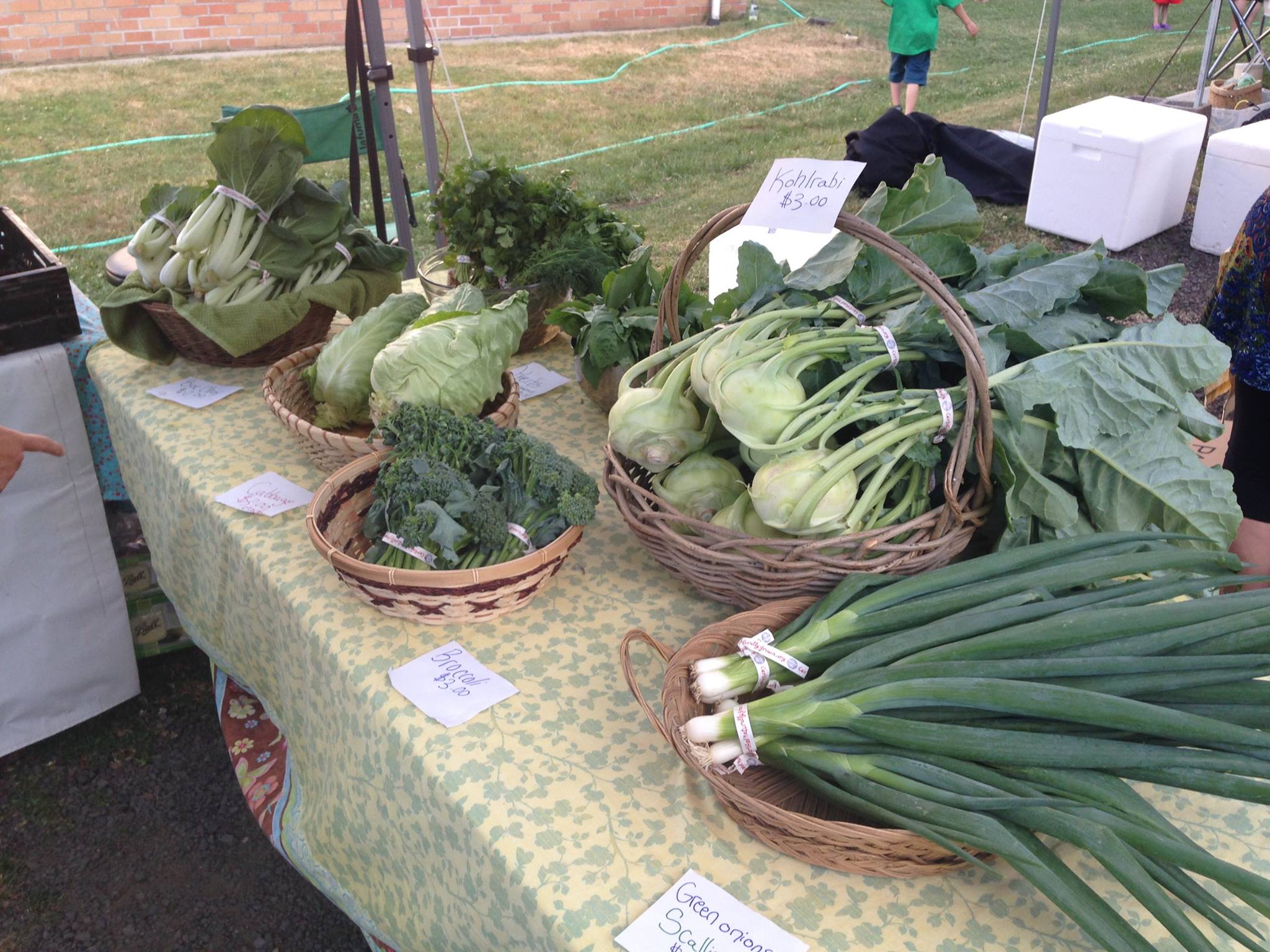 Fiddle Farms