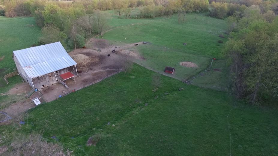 Fide' Farm and Dairy