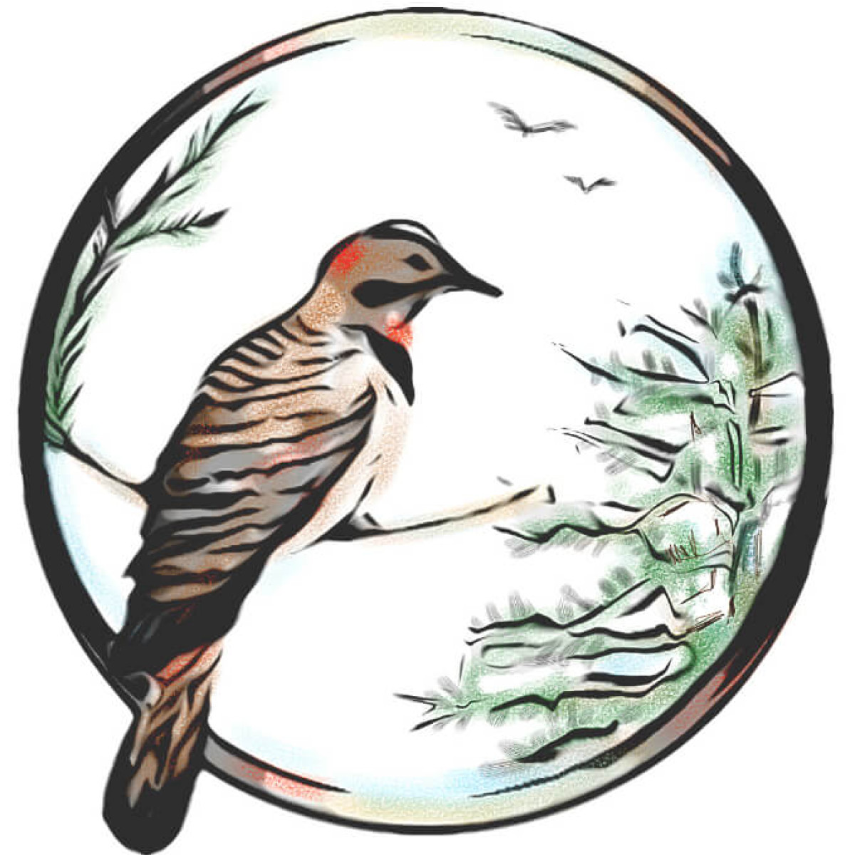 Flicker & Fir