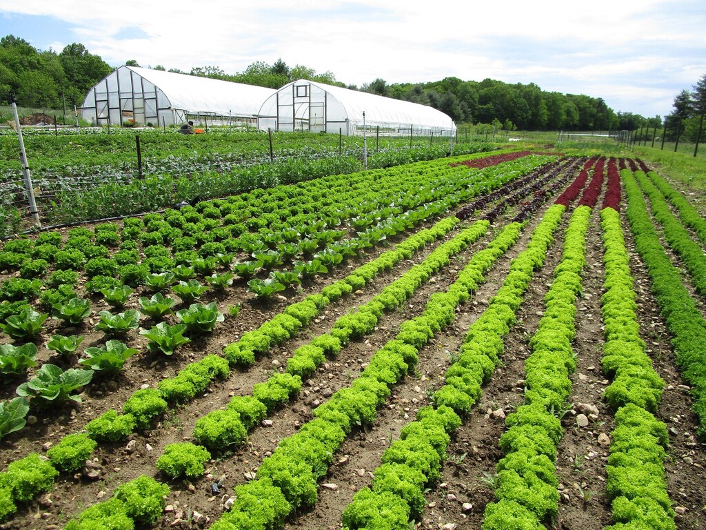 Floyd Eco Village Farm