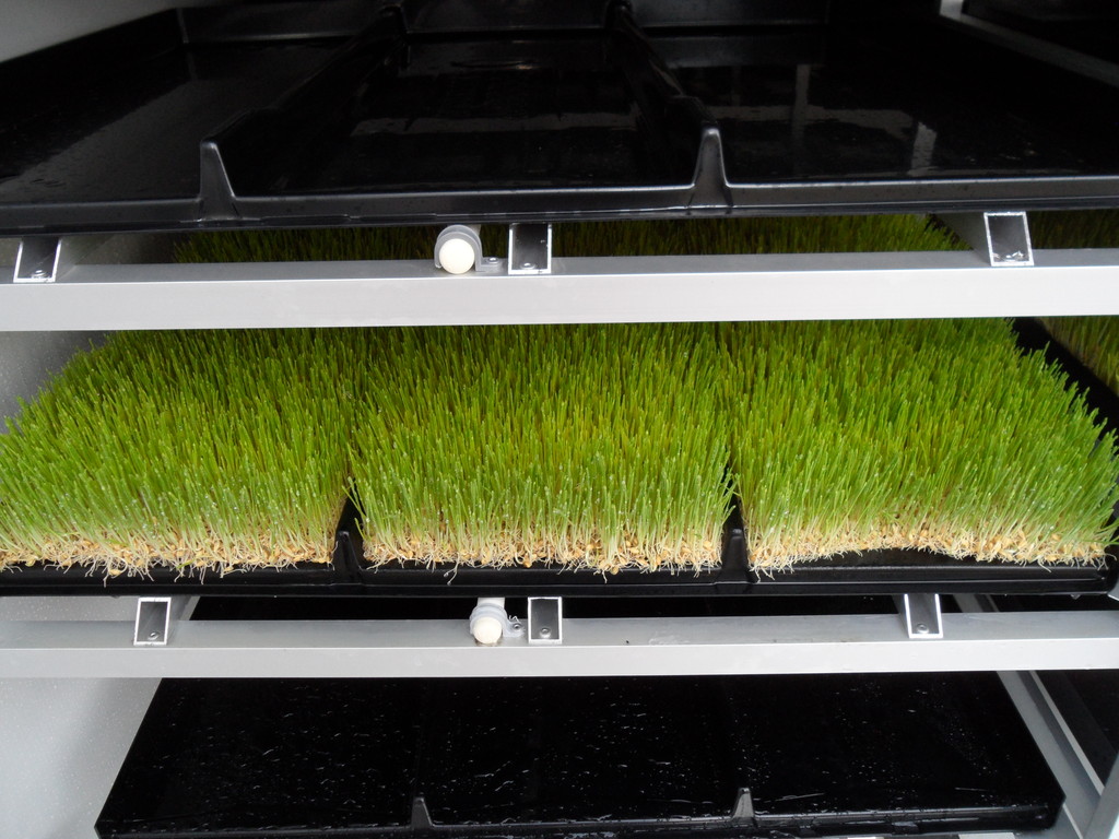 Futter's FODDER Farm