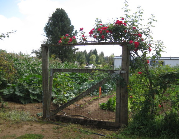 Garden Delights Herb Farm