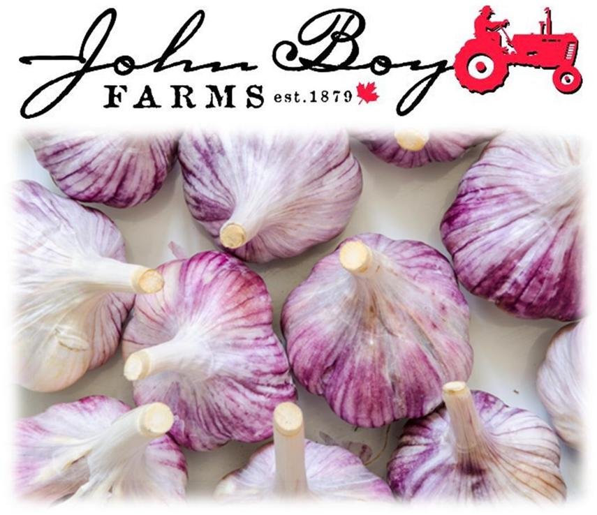 Garlic Seed - John Boy Farms