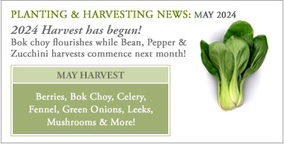 George Ciala Farms