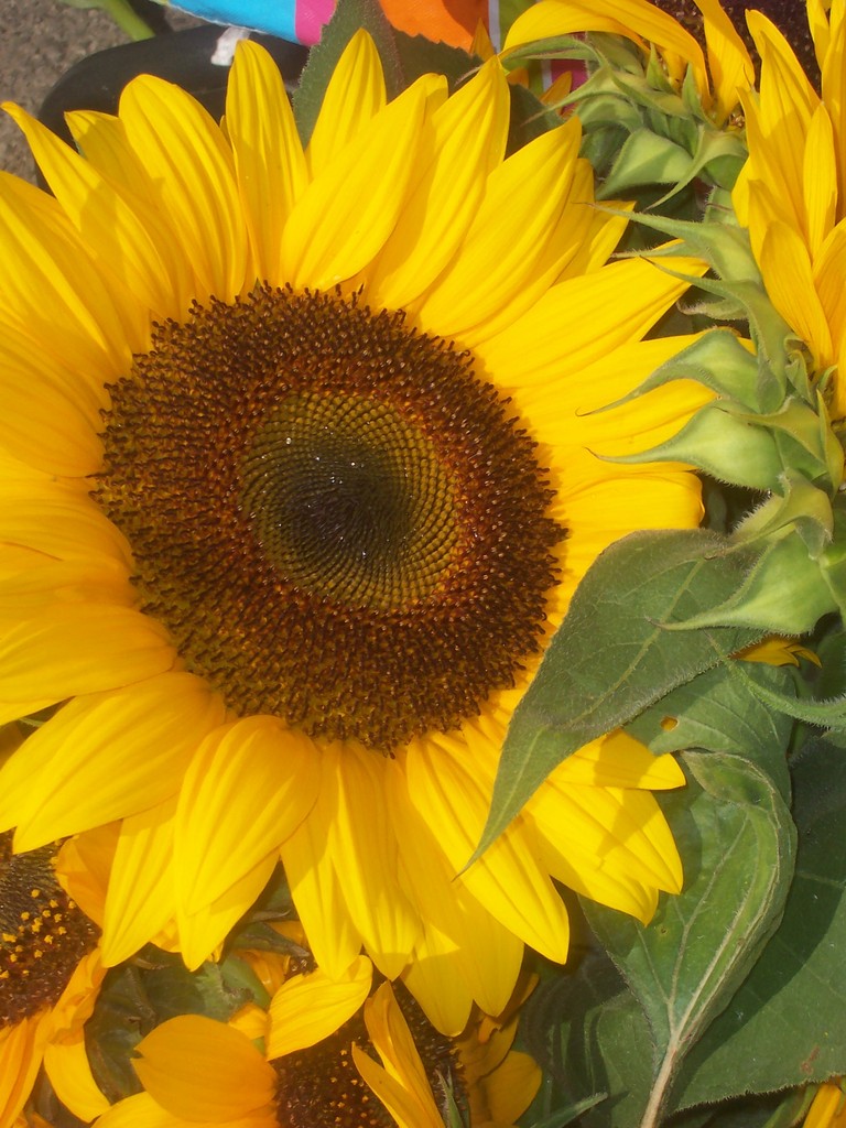 Grandview Avenue Farmers' Market