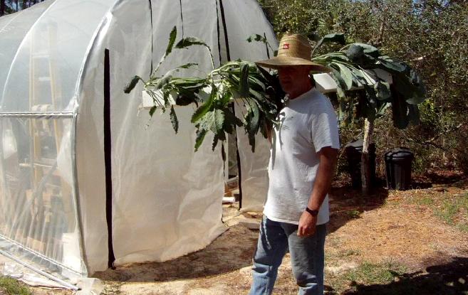 Green Growers of NwF, LLC