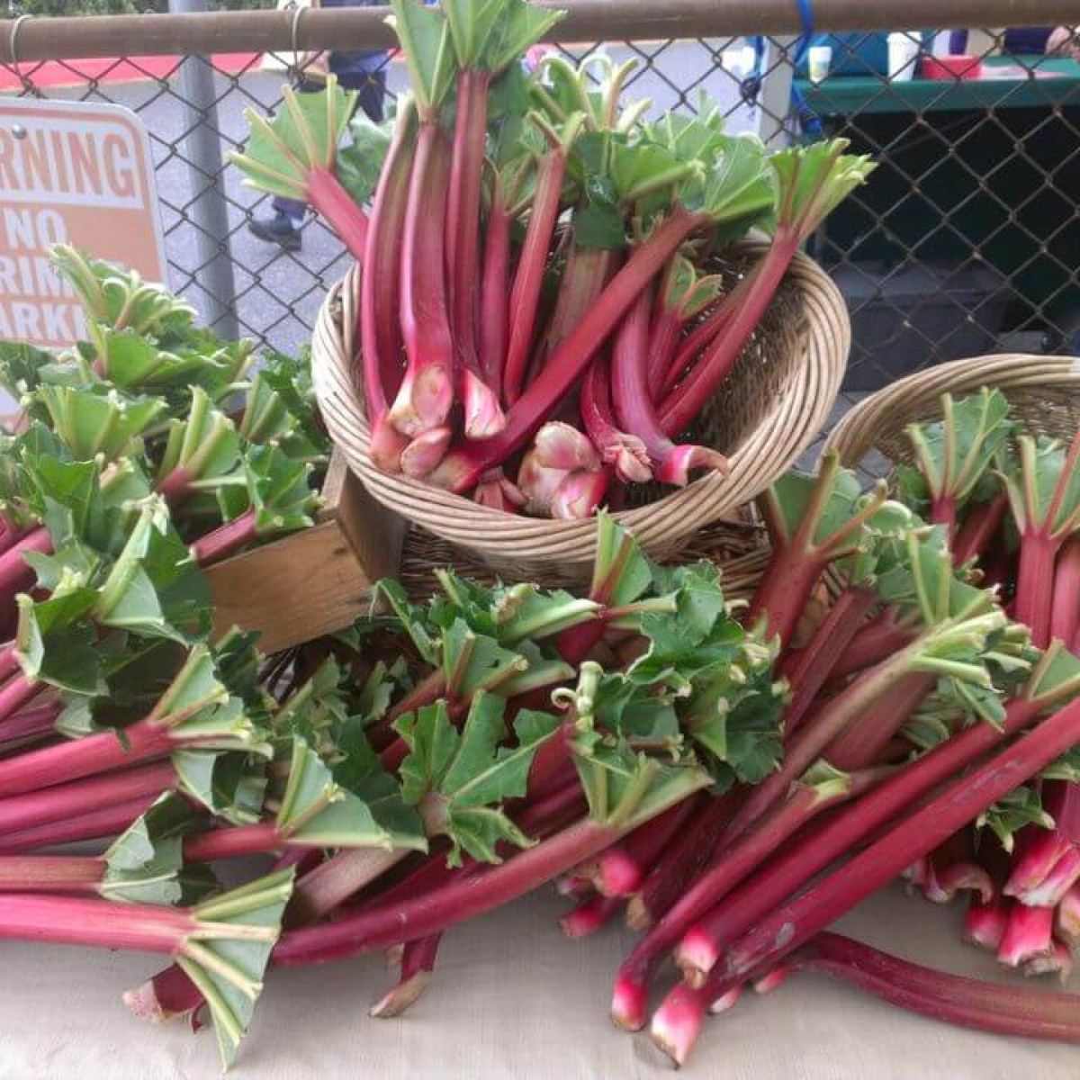 Greenville Farms