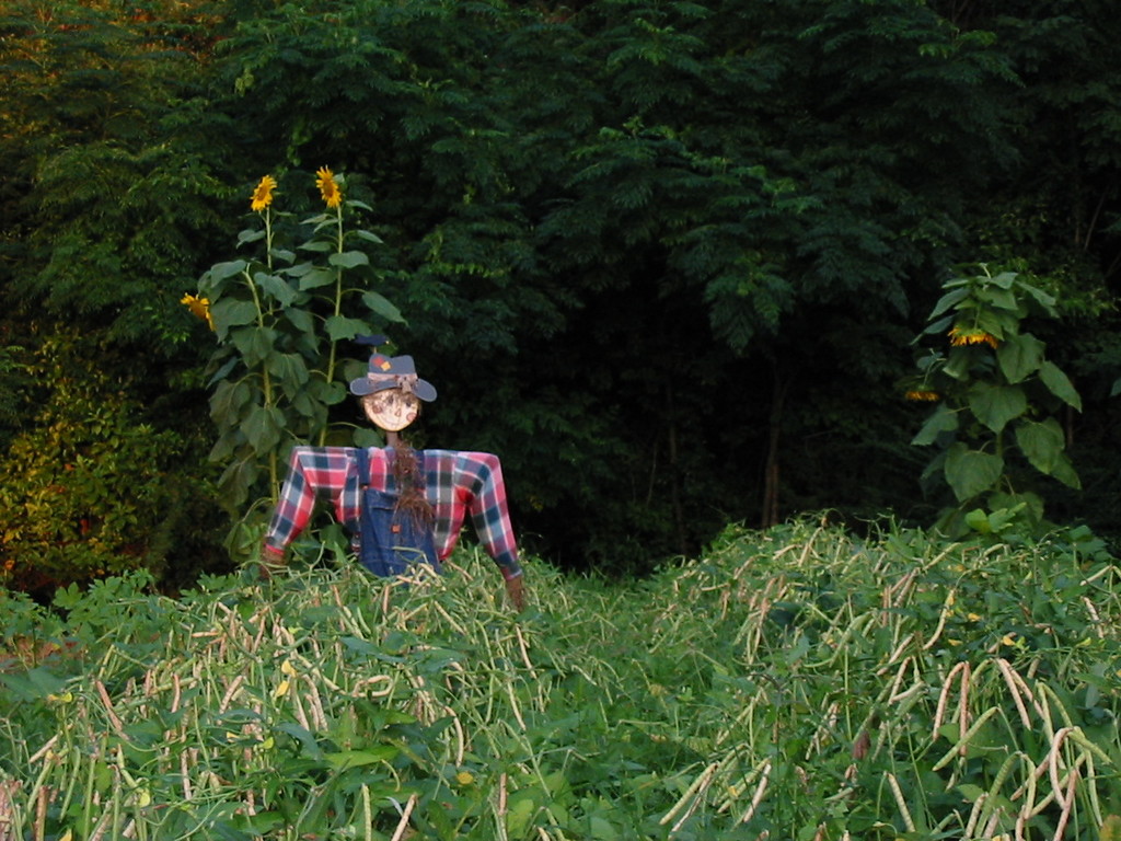 Greer Farm