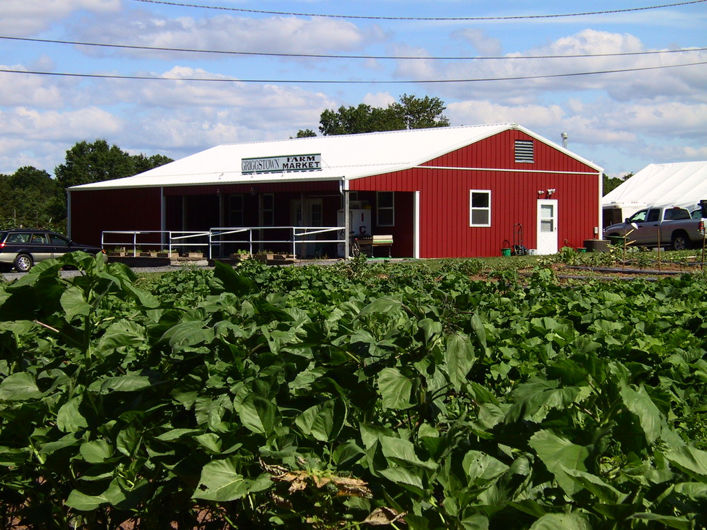 Griggstown Farm Market