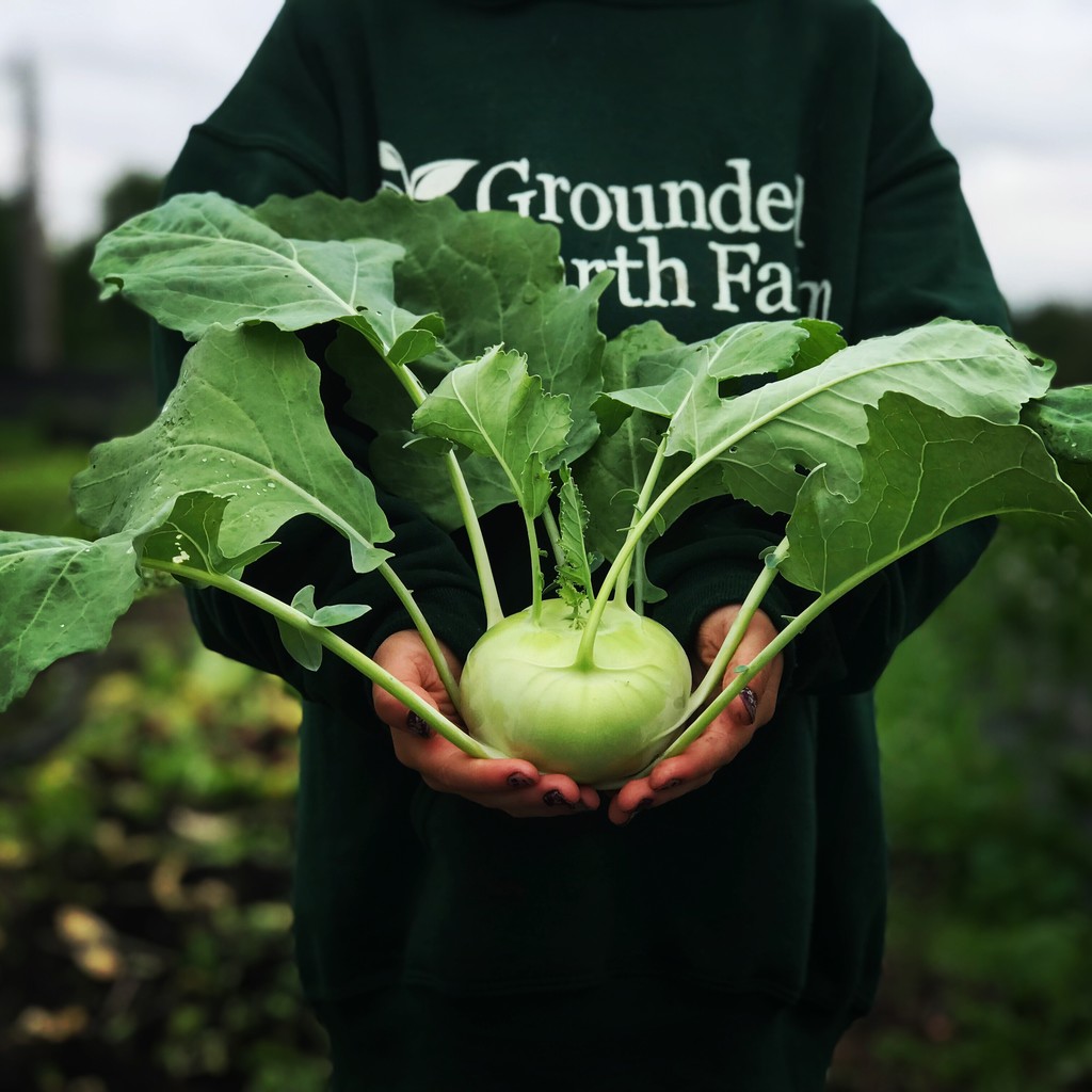 Grounded Earth Farm