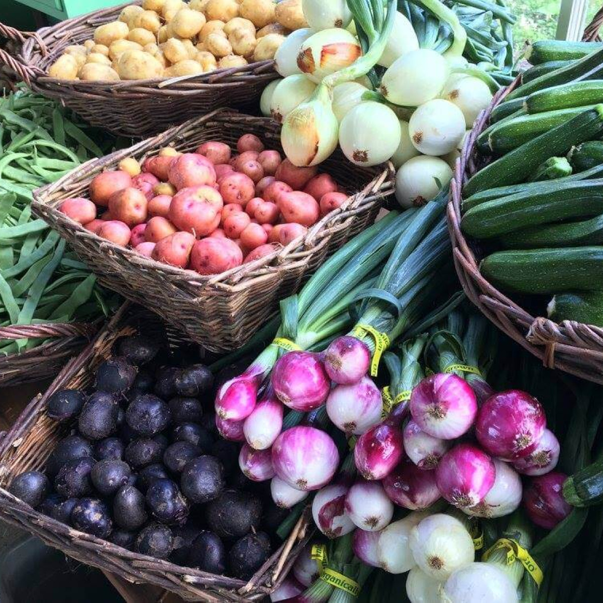 Groundwork Organics