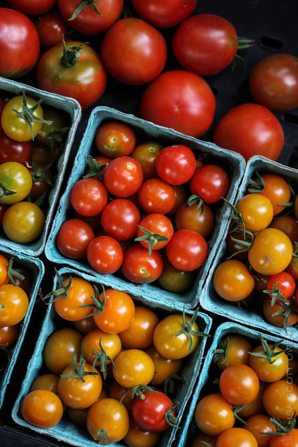 GRuB (Garden-Raised Bounty)