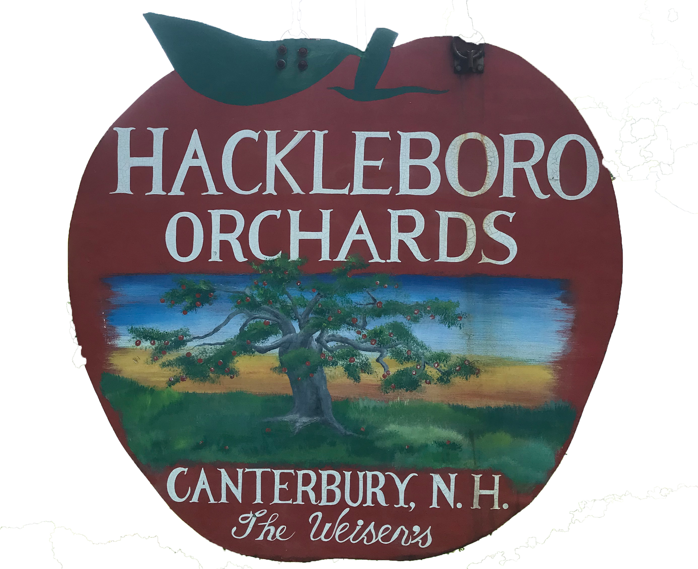 Hackleboro Orchard