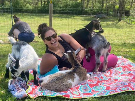 Happy Goats Farm