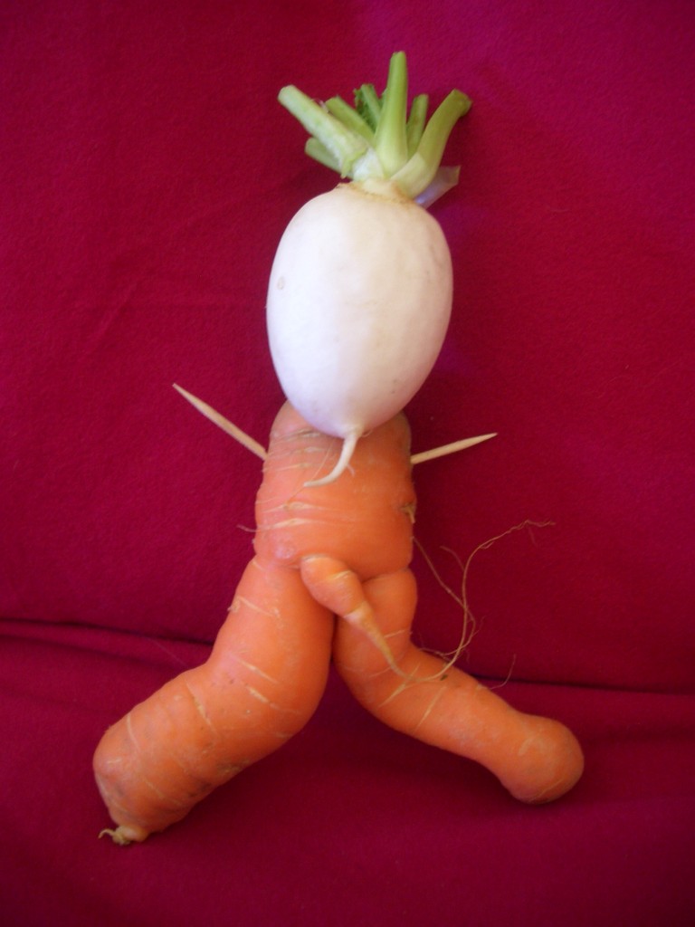 HappyDirt Veggie Patch