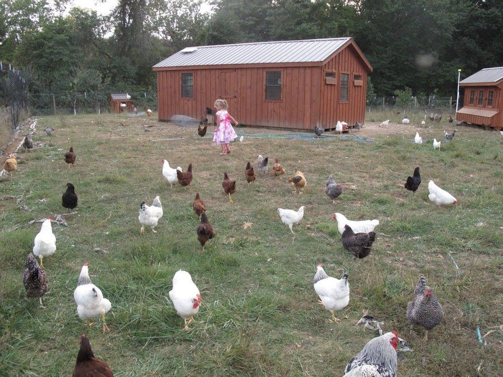 Harpers Ferry Family Farm