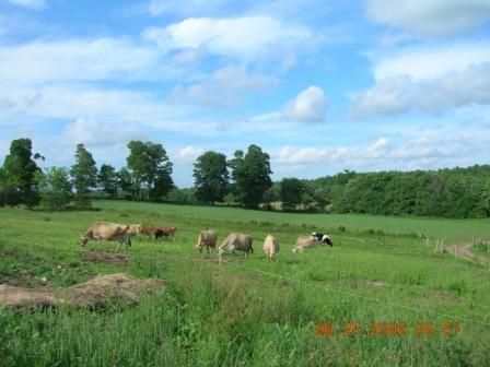 Hart-to-Hart Farm