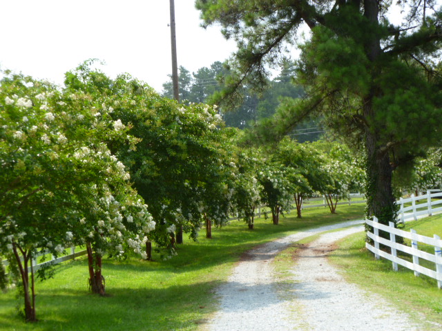 Herndon Hills Farm