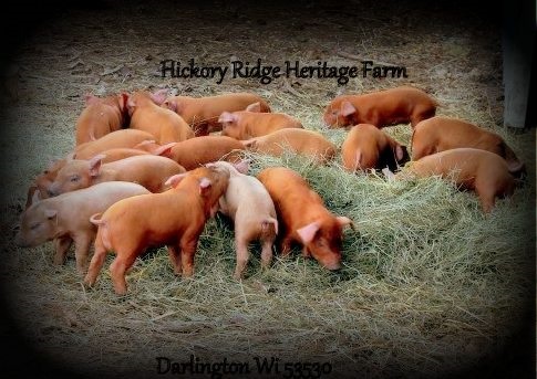 Hickory Ridge Heritage Farm