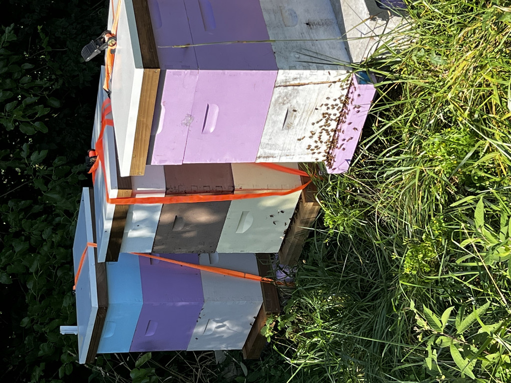 Highland Hills Apiary