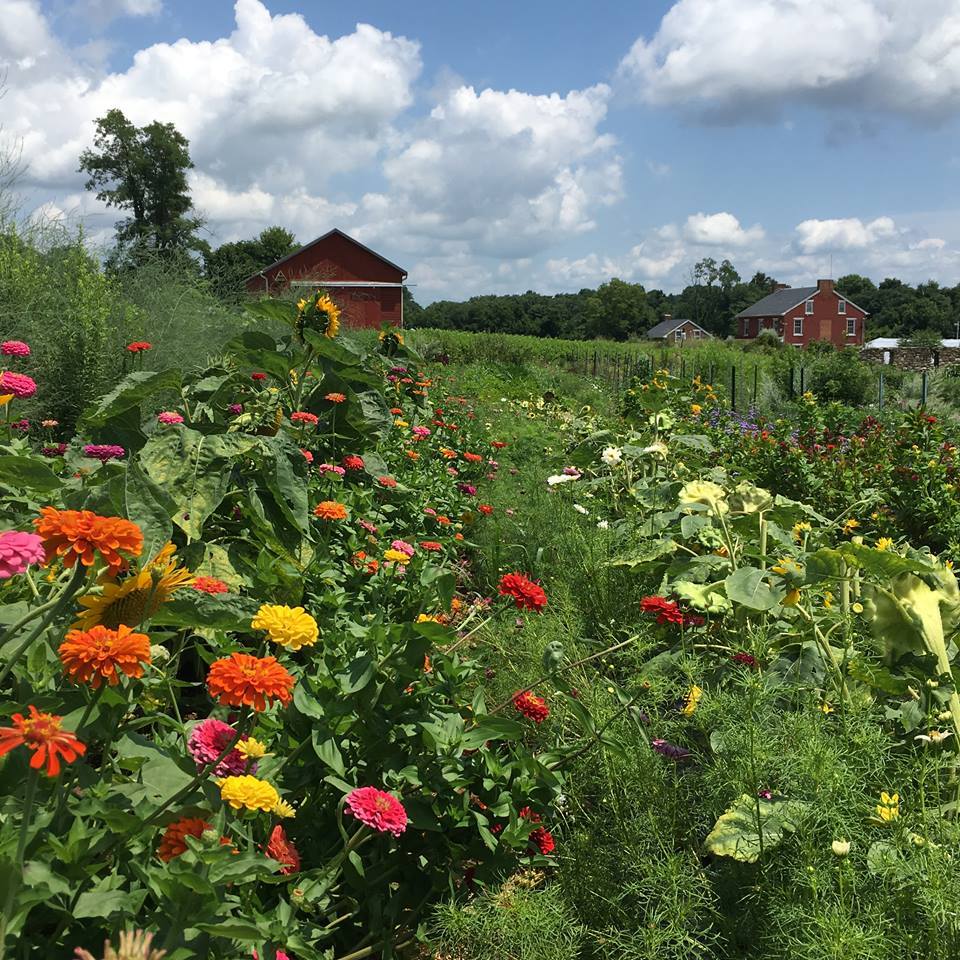 Horn Farm Center for Agricultural Education