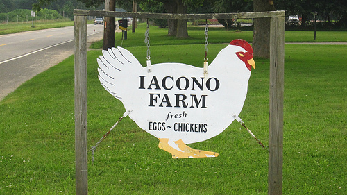 Iacono Farm