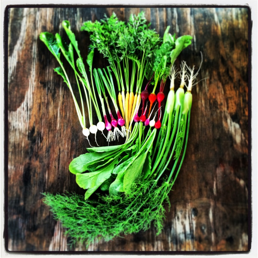 Jackson Family Farms