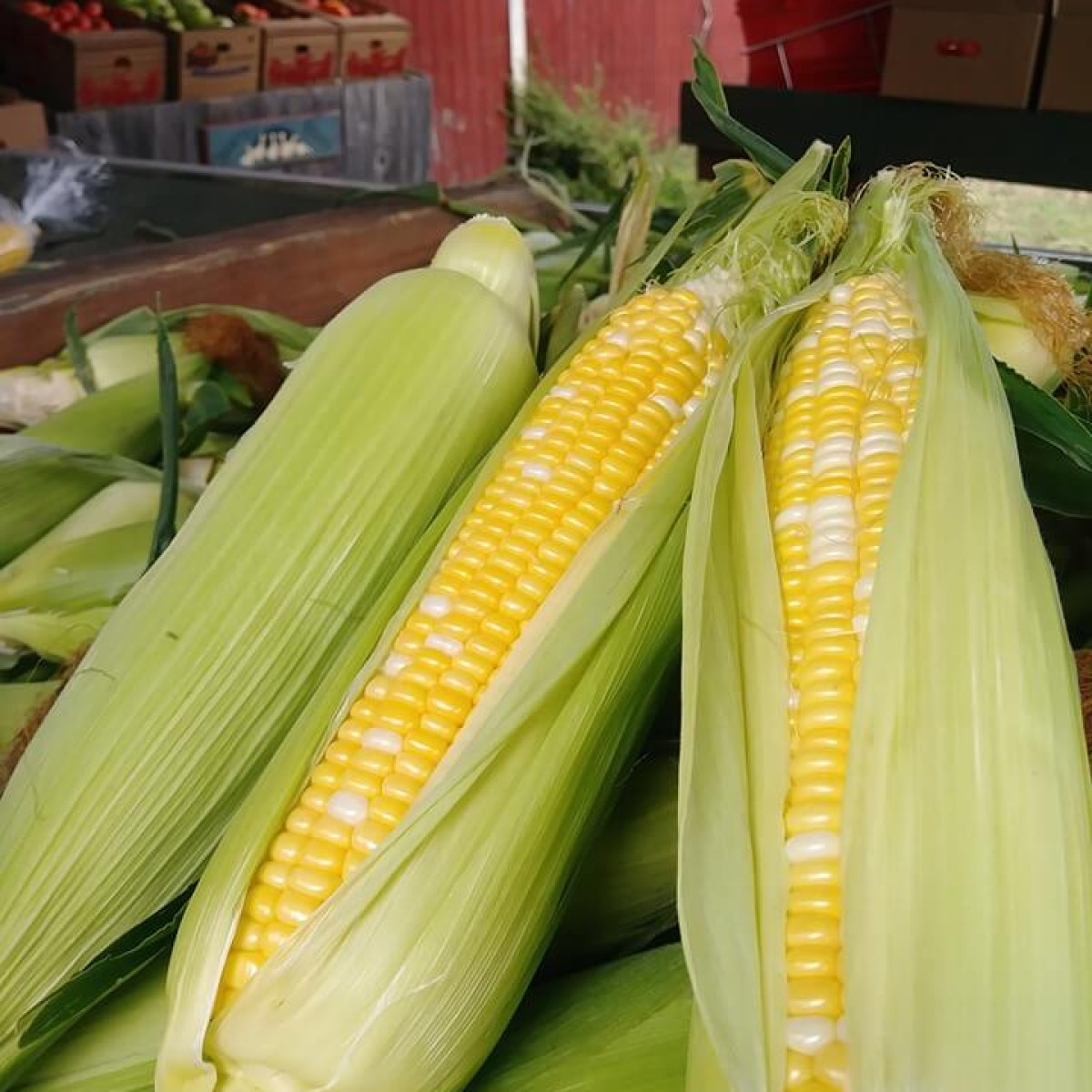 Jim Dandy Farm Market