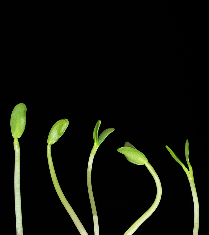 Jubilee Urban Farms LLC