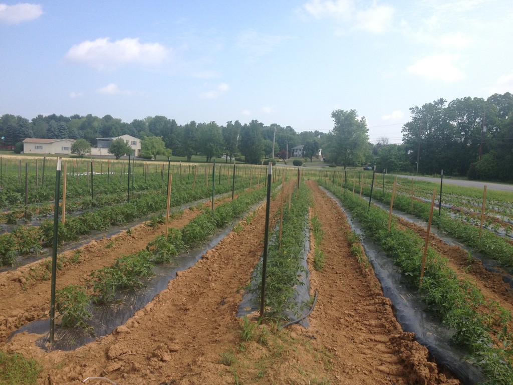 K & J Farm Market