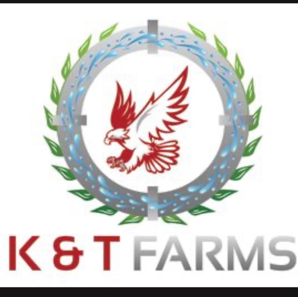 K&T Farms