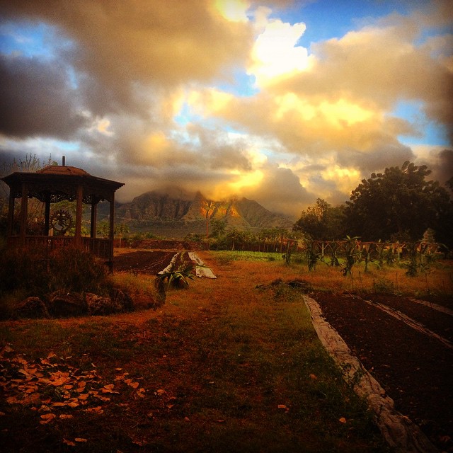 Kahumana Organic Farm