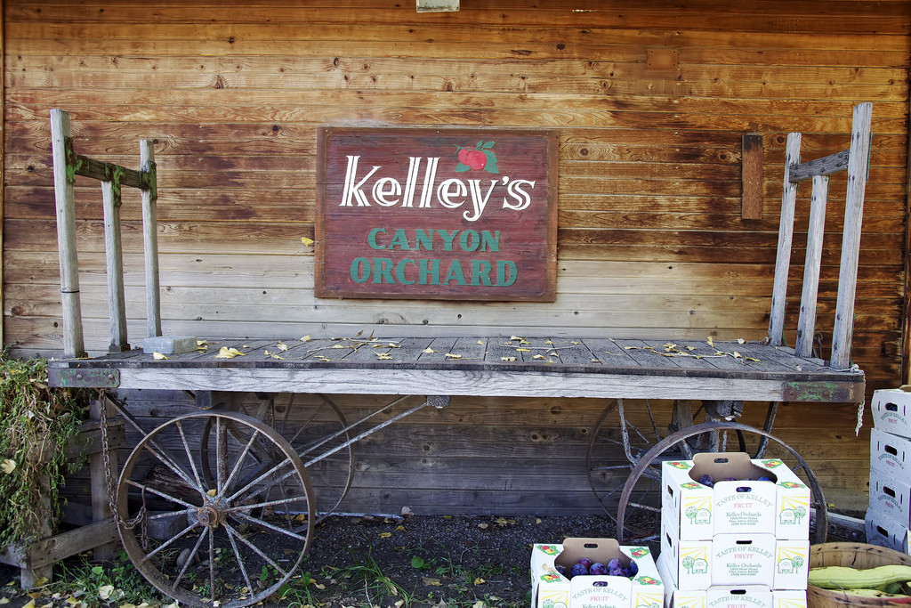 Kelley's Canyon Orchard