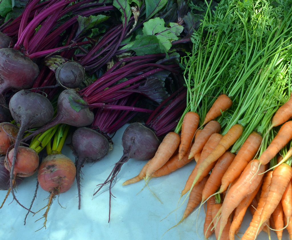 Kingbird Farms