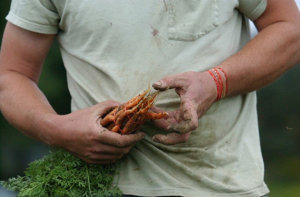 Kingsbury Market Garden