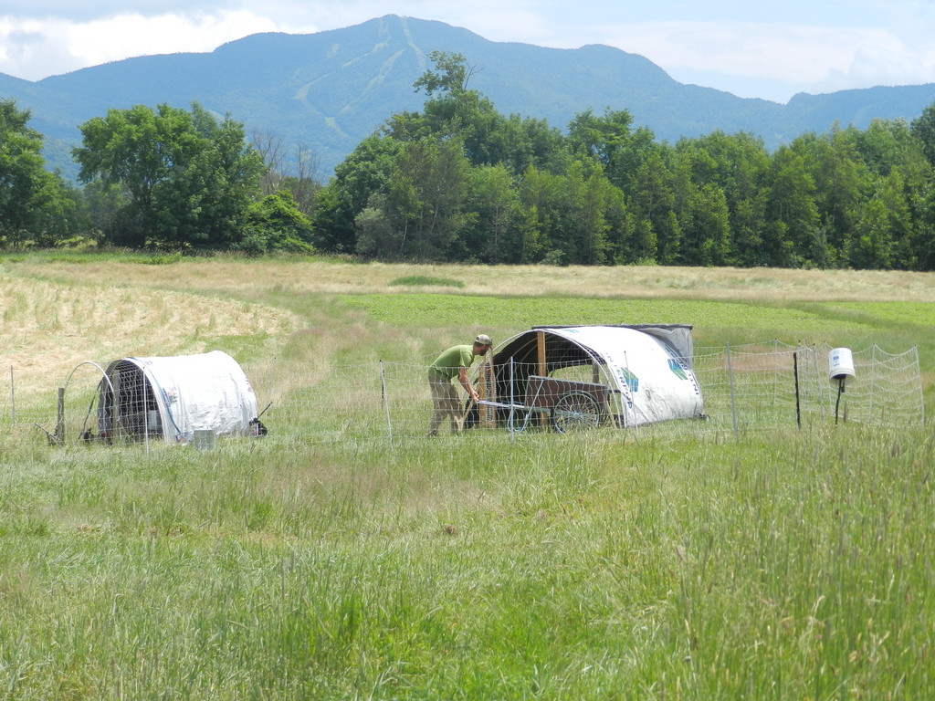 Knee Deep Farm