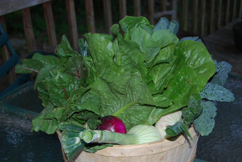 Krismark Kreek Farm