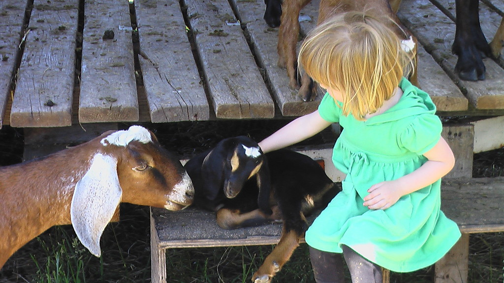 La Biondo Farm & Kitchen