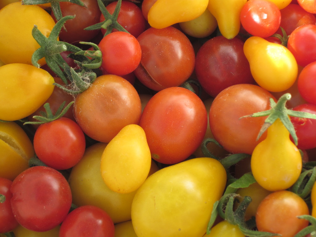 Lander Valley Farmer's Market