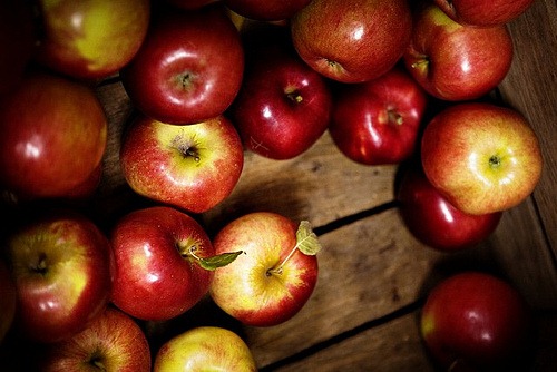 Lapacek's Orchard