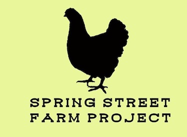 LBCAP's Spring Street Farm Project