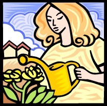 Lettuce Patch Gardens
