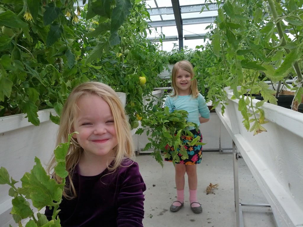 Life Enrichment Sciences